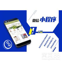 瓊中黎族苗族自治縣小程序開發公司 專業的技術服務商